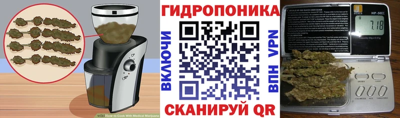где можно купить наркотик  darknet формула  Cannafood марихуана  Гаджиево 