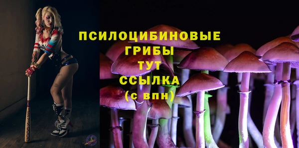 бошки Бугульма
