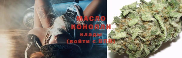 ПСИЛОЦИБИНОВЫЕ ГРИБЫ Бородино