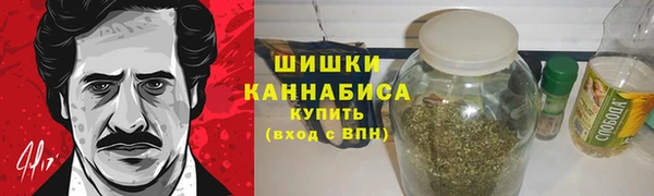 молекула духа Бронницы