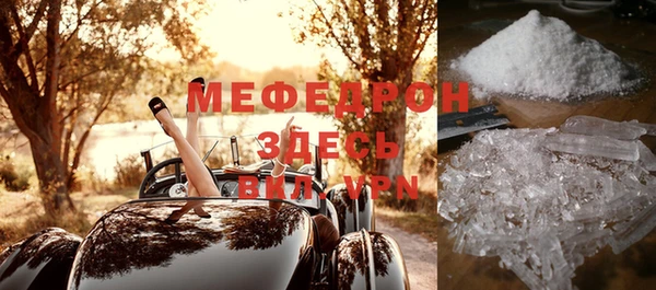 шишки Белокуриха
