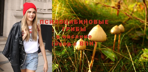 ПСИЛОЦИБИНОВЫЕ ГРИБЫ Бородино