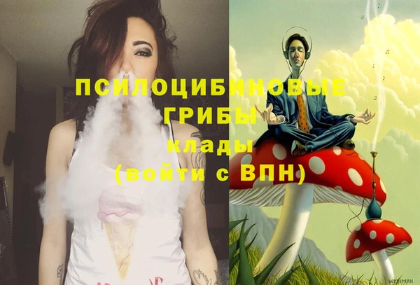 бошки Бугульма