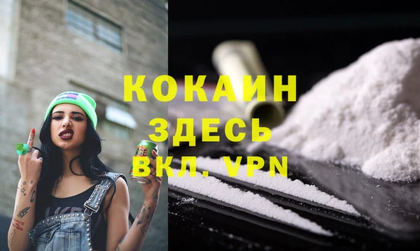 ПСИЛОЦИБИНОВЫЕ ГРИБЫ Бородино